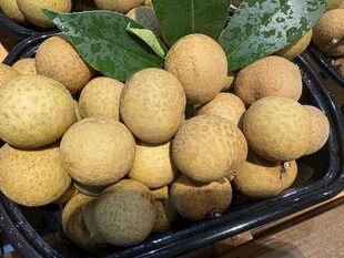 新鲜饱满的龙眼果实