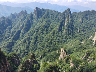 青山