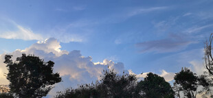 黄昏时分的天空与树木