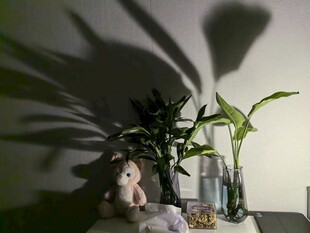 灯光下室内绿植与摆件的静谧角落