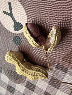 剥开的花生与花生壳特写