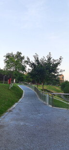 蜿蜒小路旁的葱郁景致