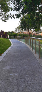 清新的林间石板小径