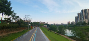 城市公园步道旁的自然风光