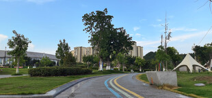 公园里宁静公路风景