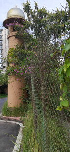 蜿蜒路旁的绿植与筒状建筑