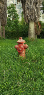 翠绿草地上的红色消防栓