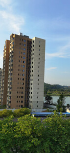 高层住宅旁的绿意景观