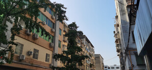 城市间的狭窄街巷景观