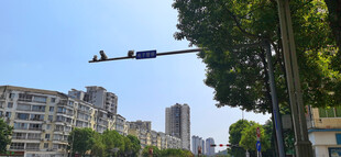 城市街道旁的监控设备与建筑