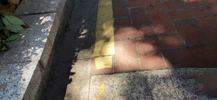 路边光影斑驳的地面