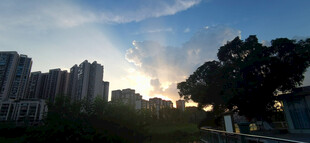 城市黄昏时的建筑与树木