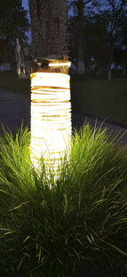 草坪中的发光串灯