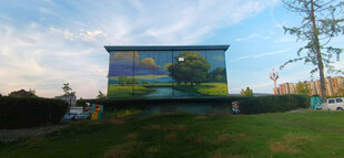 彩绘装饰电箱与开阔绿地