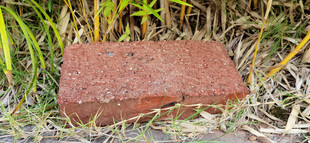 红砖置于草丛中