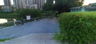 公园中的绿植与步道景观