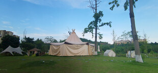 草地上木下的白色露营帐篷