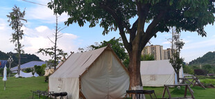 户外树下的精致露营帐篷