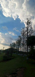 山间草地树木剪影与蓝天白云景色