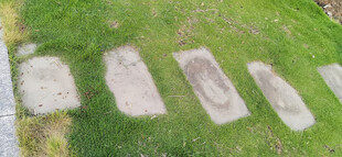 户外草地中的方形石板