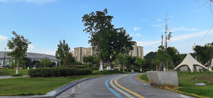 健康步道与两旁风景