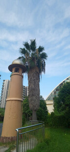 户外棕榈树旁的筒状建筑