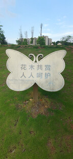草地上的蝴蝶形花草牌