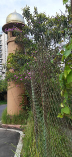 庭院绿植环绕的房屋一角