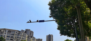 空中支架上的违章抓拍设备