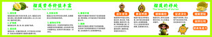 榴莲的好处
