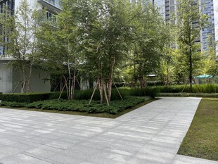 现代都市景观园林一角