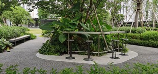 园林中的蜿蜒小径景观