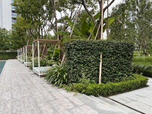 现代精致园林景观步道