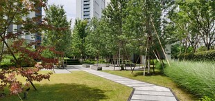 城市中的静谧园林景观