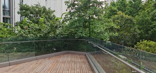 蜿蜒于绿树间的步道