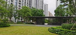 城市中的静谧绿地景观