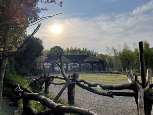 乡村田园风光