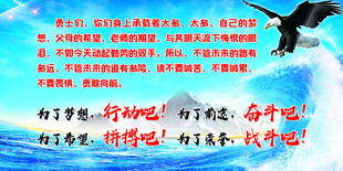 展翅高飞 为了梦想行动