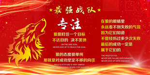 卓越团队 专注铸就辉煌