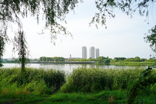 沈阳蒲河河畔风光