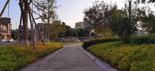 城市林荫步道景观