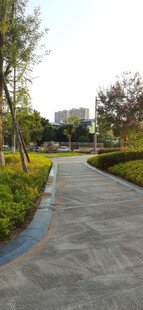 城市中的宁静林荫步道