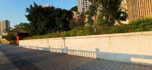 城市河畔长花台风景