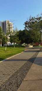 城市中的宁静林荫步道