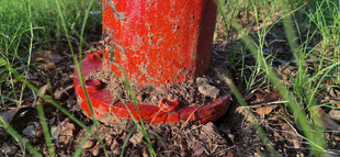 红色消防栓立于草地