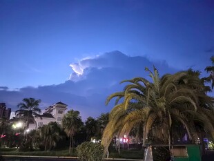 夜幕下的棕榈树与远山