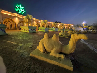 夜晚景区的骆驼雕塑景观