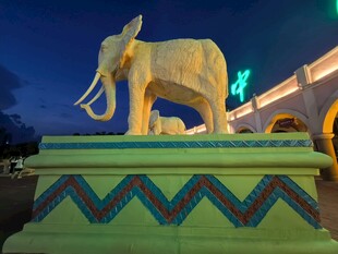 夜晚的大象雕塑