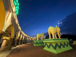 夜晚街头的大象雕塑景观