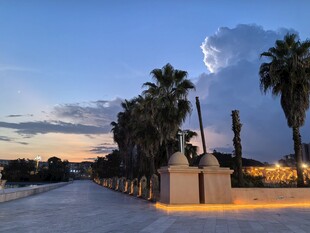 黄昏下的棕榈树景观